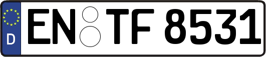 EN-TF8531