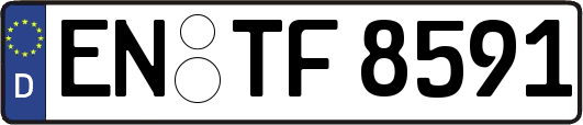 EN-TF8591