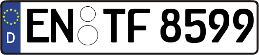 EN-TF8599