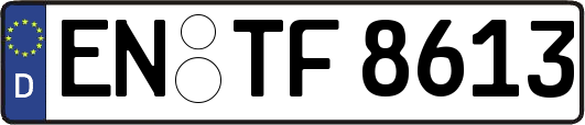 EN-TF8613