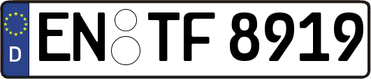 EN-TF8919