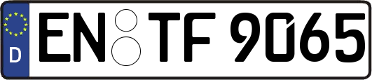 EN-TF9065