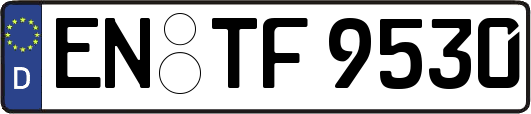 EN-TF9530