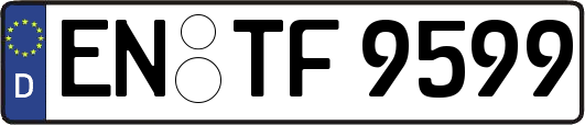 EN-TF9599