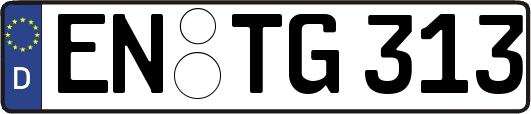 EN-TG313