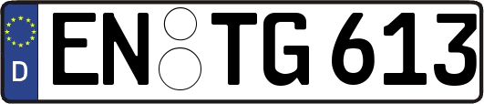 EN-TG613