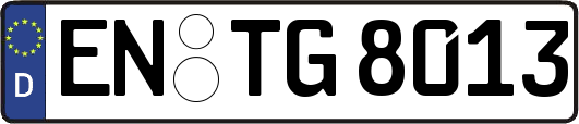 EN-TG8013