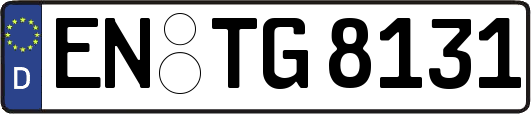 EN-TG8131