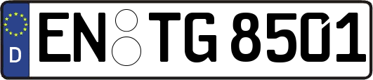 EN-TG8501