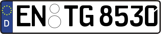 EN-TG8530