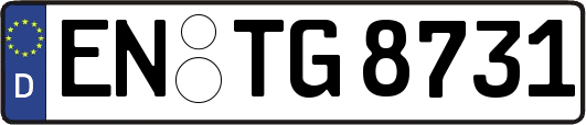 EN-TG8731