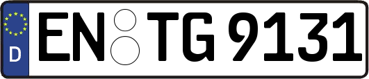 EN-TG9131