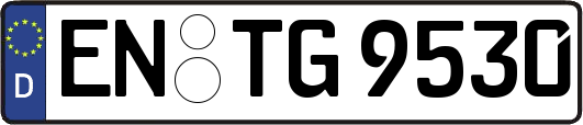 EN-TG9530