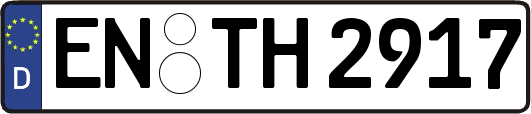 EN-TH2917