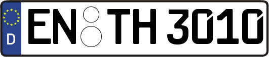 EN-TH3010