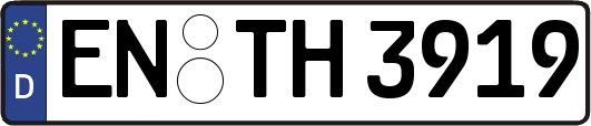 EN-TH3919