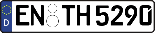 EN-TH5290