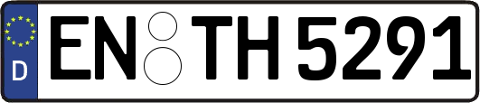 EN-TH5291
