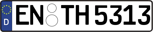 EN-TH5313