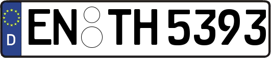 EN-TH5393