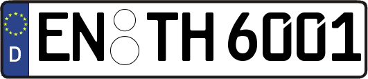 EN-TH6001