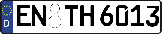 EN-TH6013