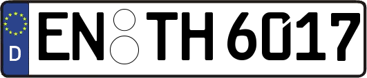 EN-TH6017