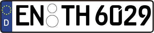 EN-TH6029