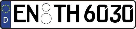 EN-TH6030