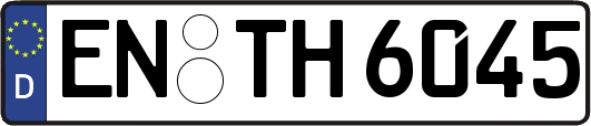 EN-TH6045