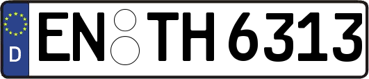 EN-TH6313