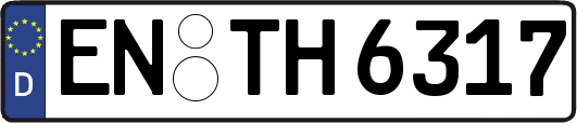 EN-TH6317