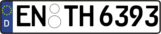 EN-TH6393