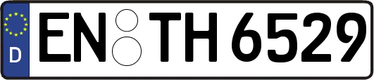 EN-TH6529