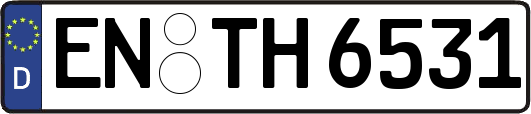 EN-TH6531