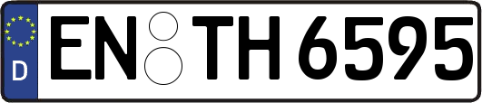 EN-TH6595