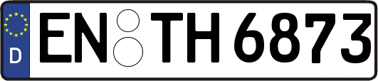 EN-TH6873