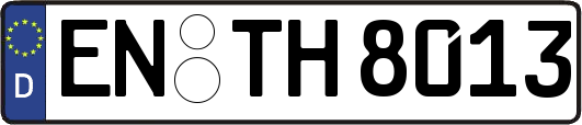 EN-TH8013