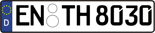 EN-TH8030