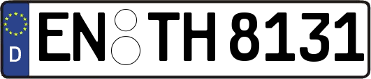EN-TH8131