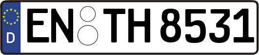 EN-TH8531