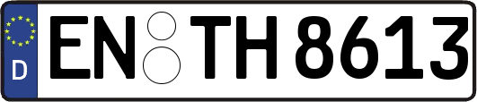 EN-TH8613