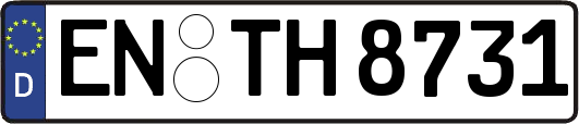 EN-TH8731