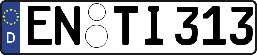 EN-TI313