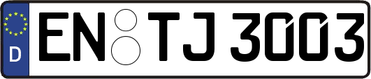 EN-TJ3003