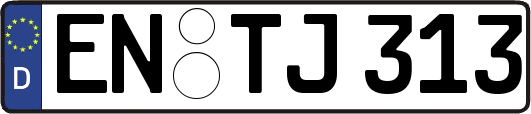 EN-TJ313