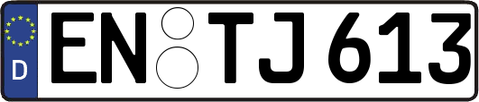 EN-TJ613