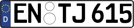 EN-TJ615