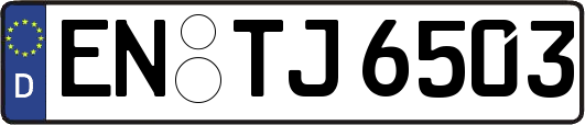 EN-TJ6503