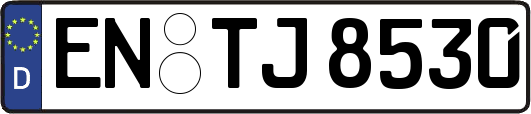EN-TJ8530